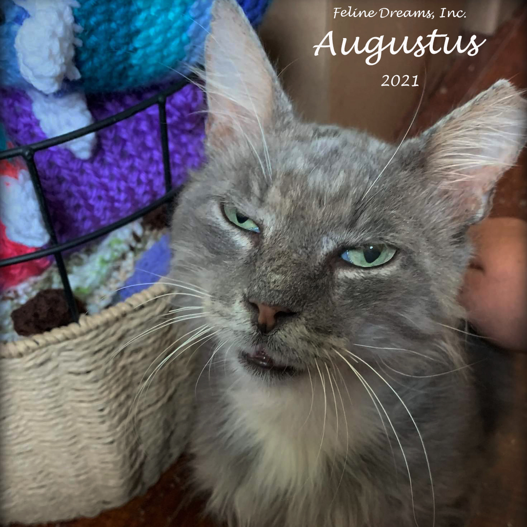 Augustus