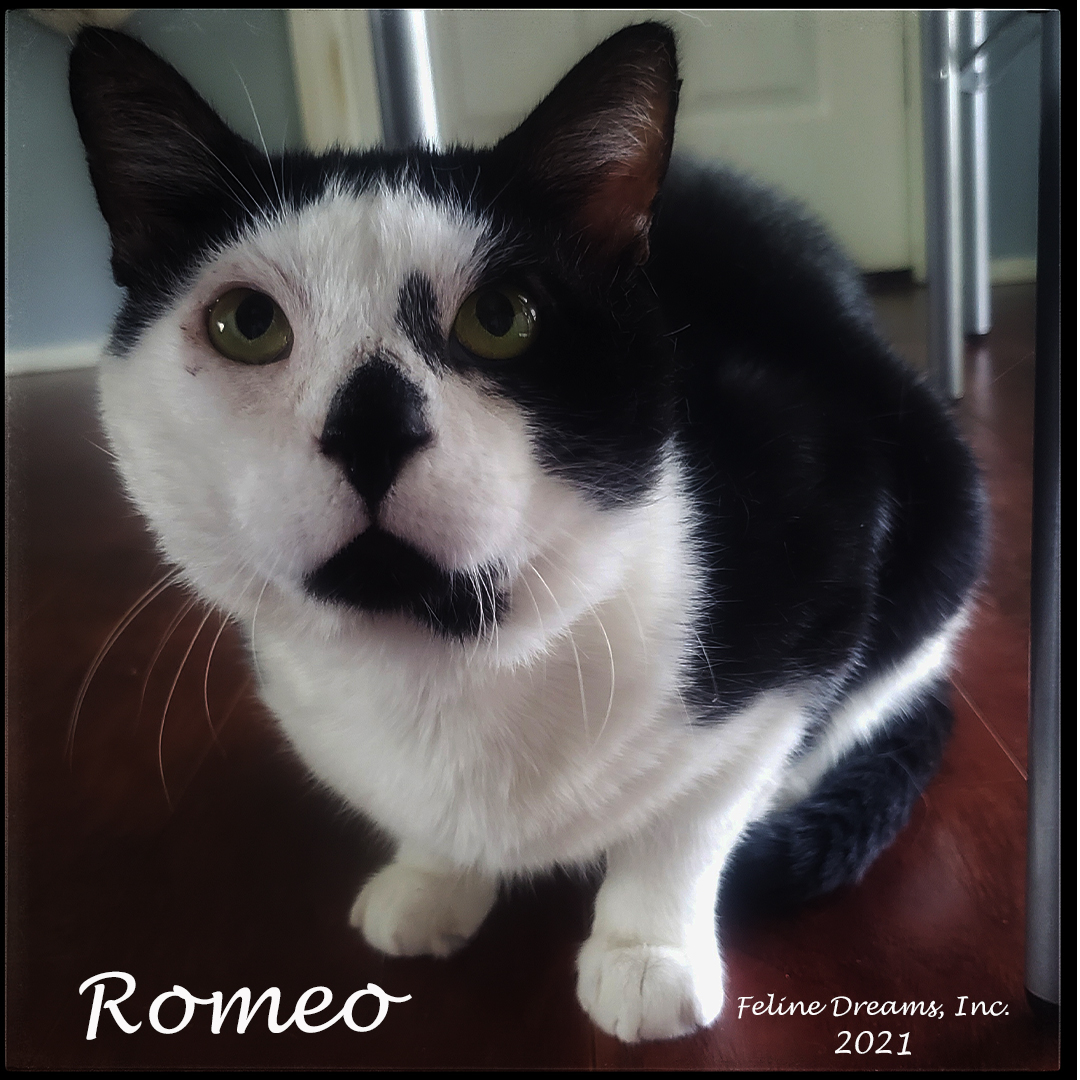 Romeo